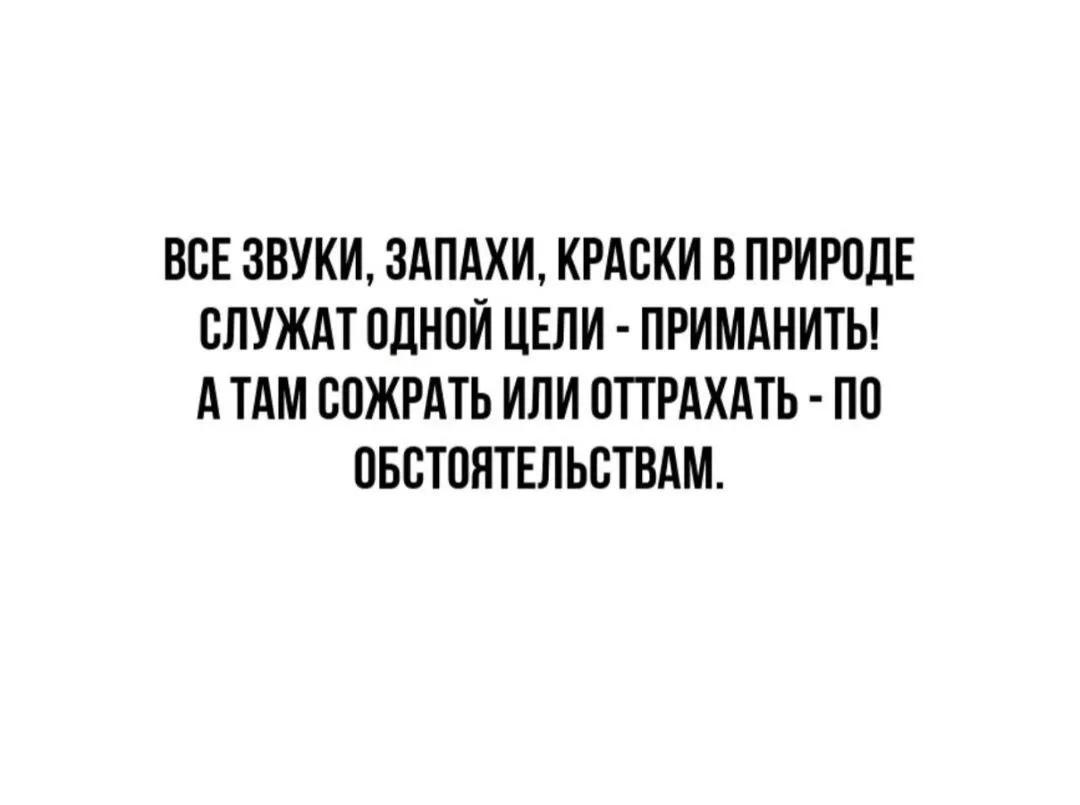 Красота - это страшная сила

Хочешь немножко знаний, которые углубляют скорбь?

Нашел у Мараховсконр