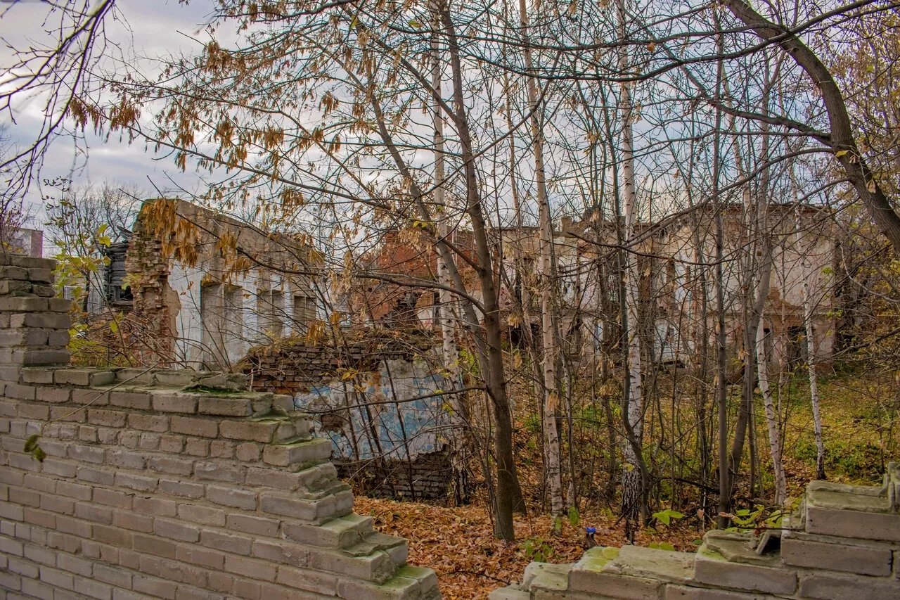 Присылайте Ваши фото в "Предложить пост"