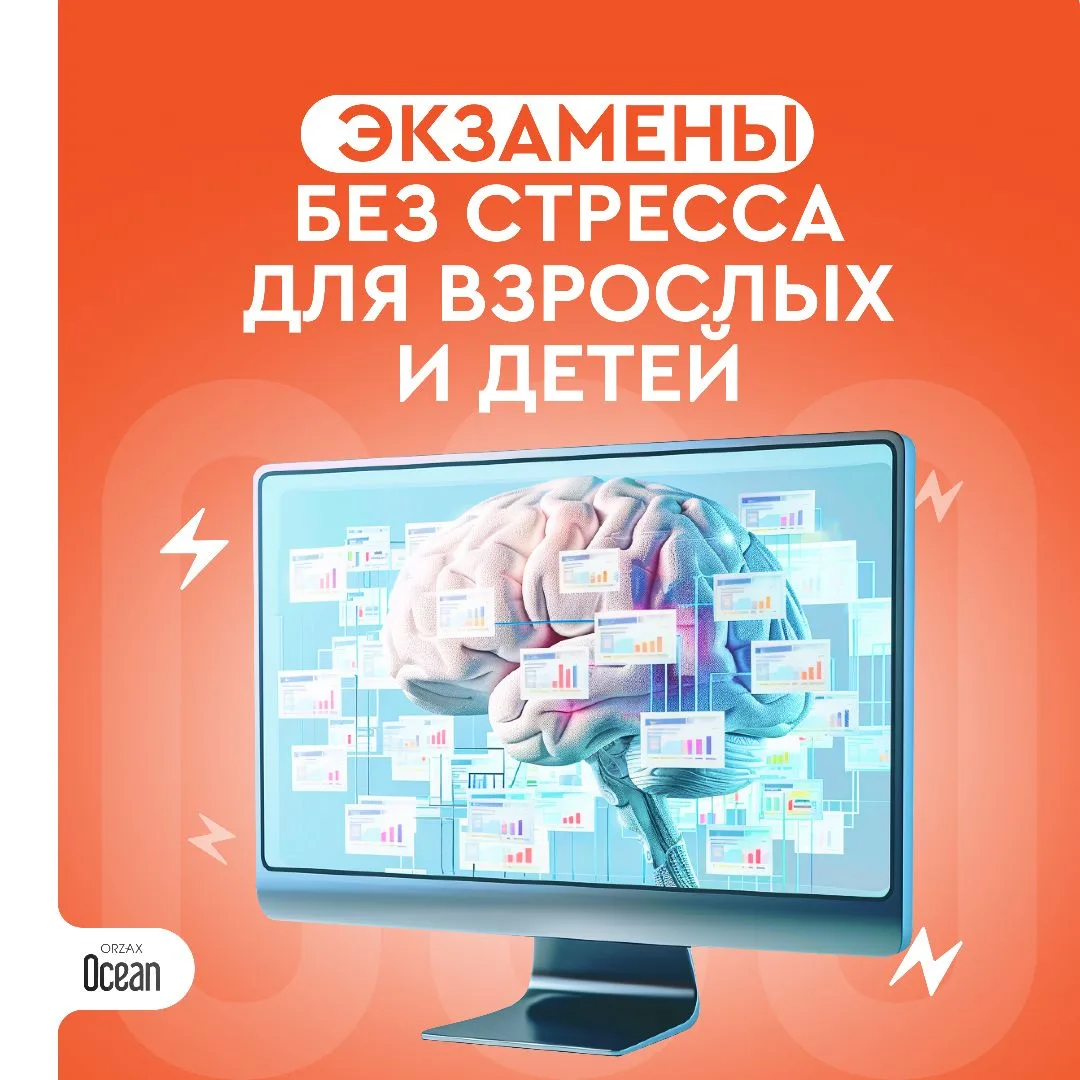 Экзамены — испытание не только для выпускников, но и для всей семьи. Собрали несколько способов, кот