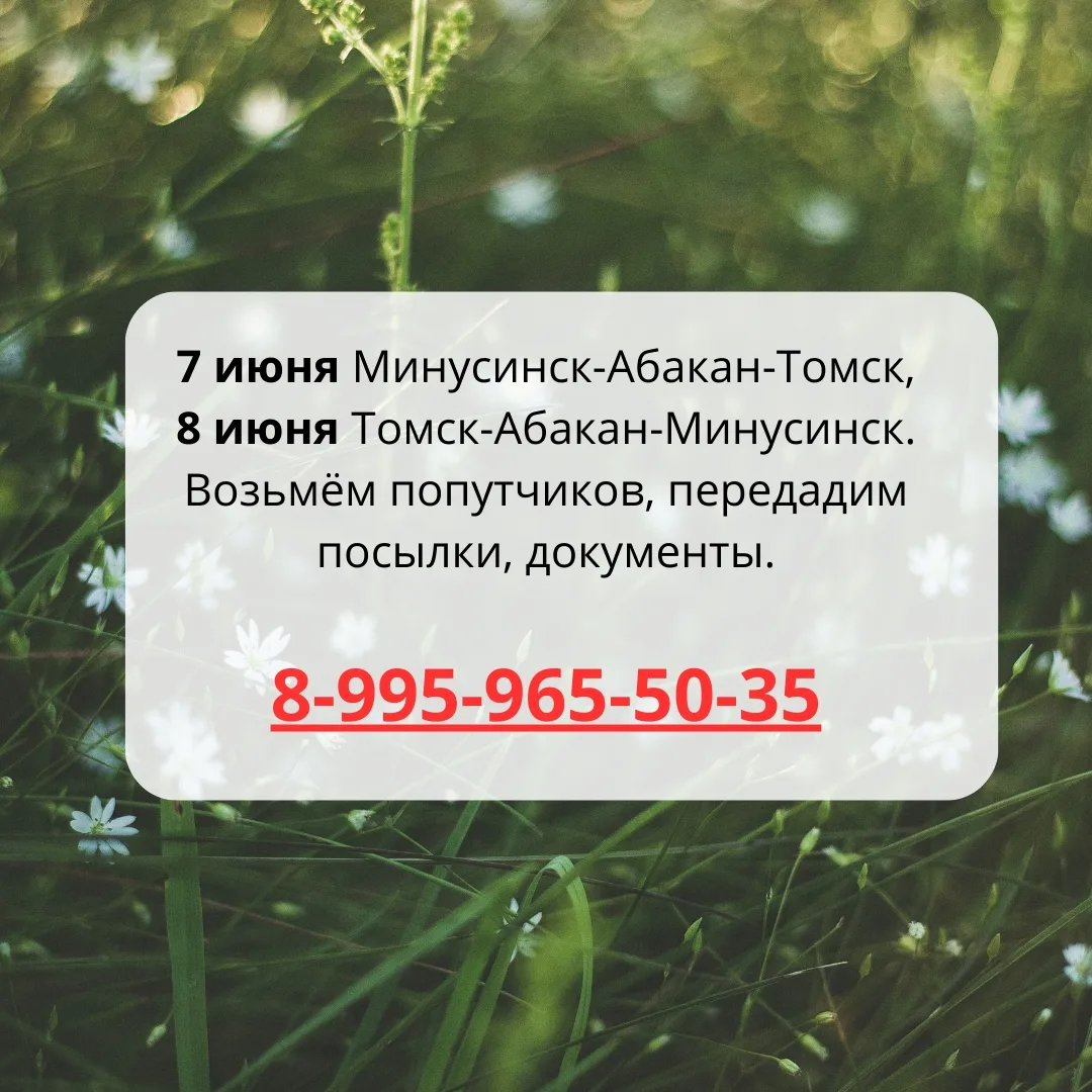 МАХ max.ru/abakan_tomck 
TELEGRAM канал t.me/abakan_tomsk 
ВКОНТАКТЕ vk.ru/abakan_tomck 
 
7 июня Ми