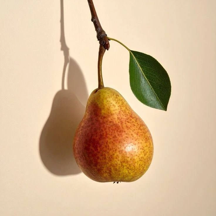 Та самая груша 🍐 До старта ровно час ⏳

Через 60 минут начнётся мастер-класс по холодному фарфору ⏱