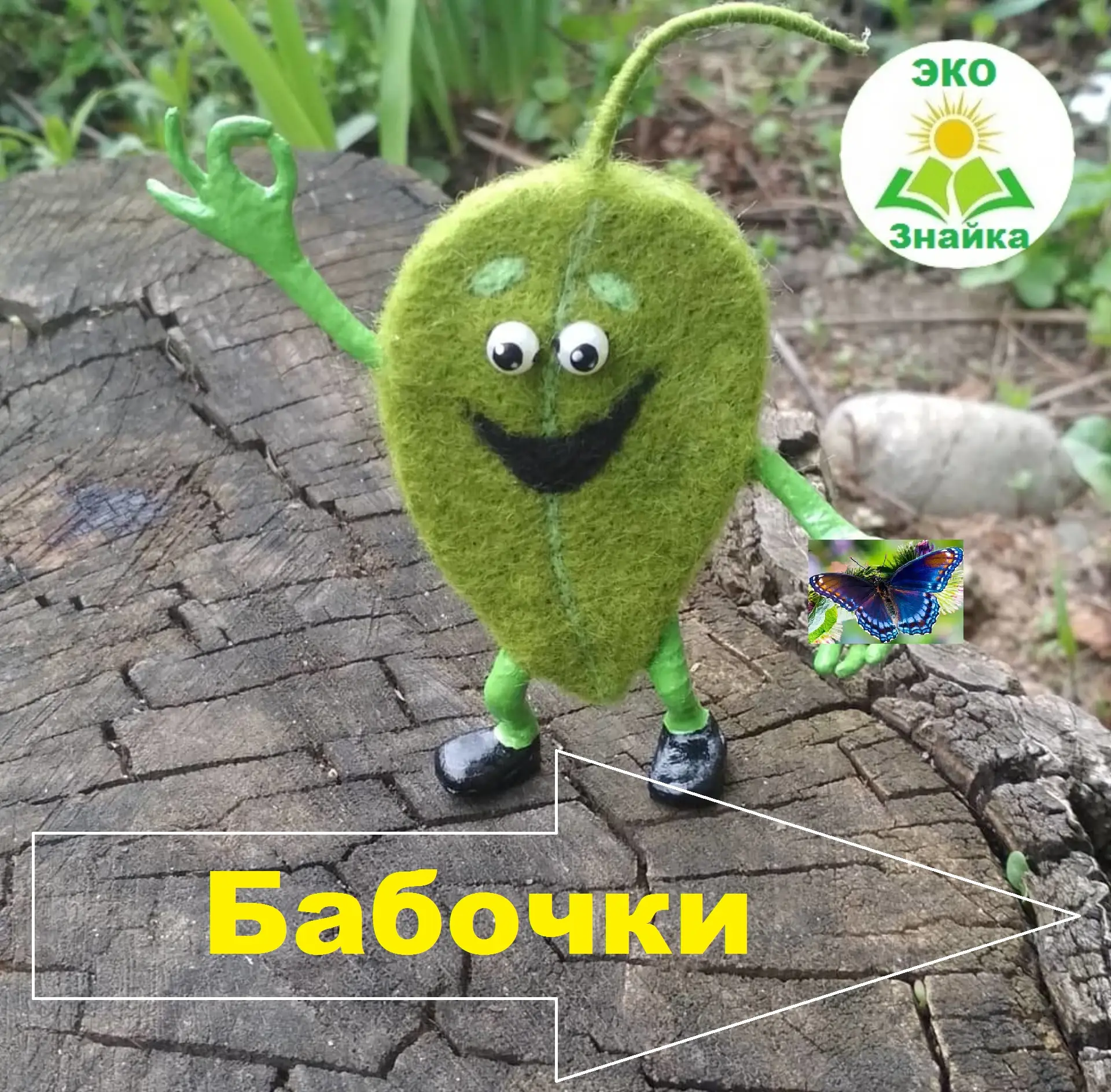 🦋🦋🦋Друзья, а вы знаете, что у бабочек есть свой праздник – Международный день бабочек, который от