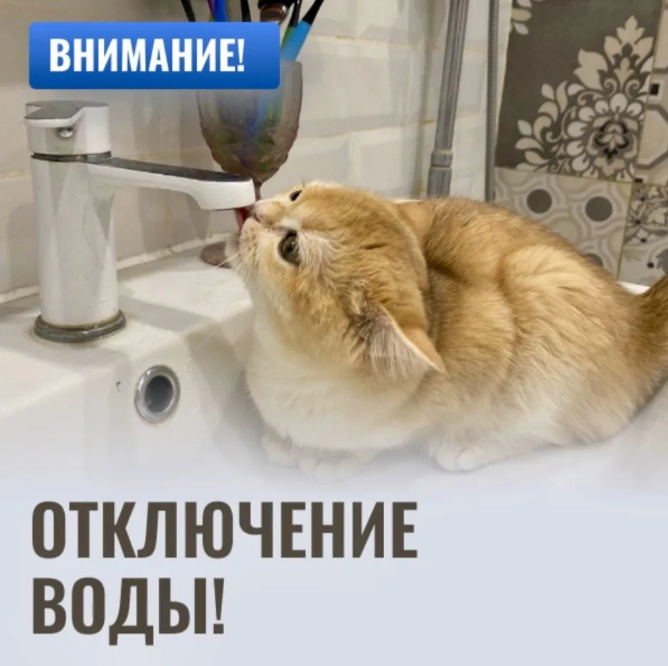‼️ВАЖНАЯ ИНФОРМАЦИЯ! 

🛠️В связи с необходимостью выполнения ремонтных работ 
с 8:00 4 июня 
до 8:0