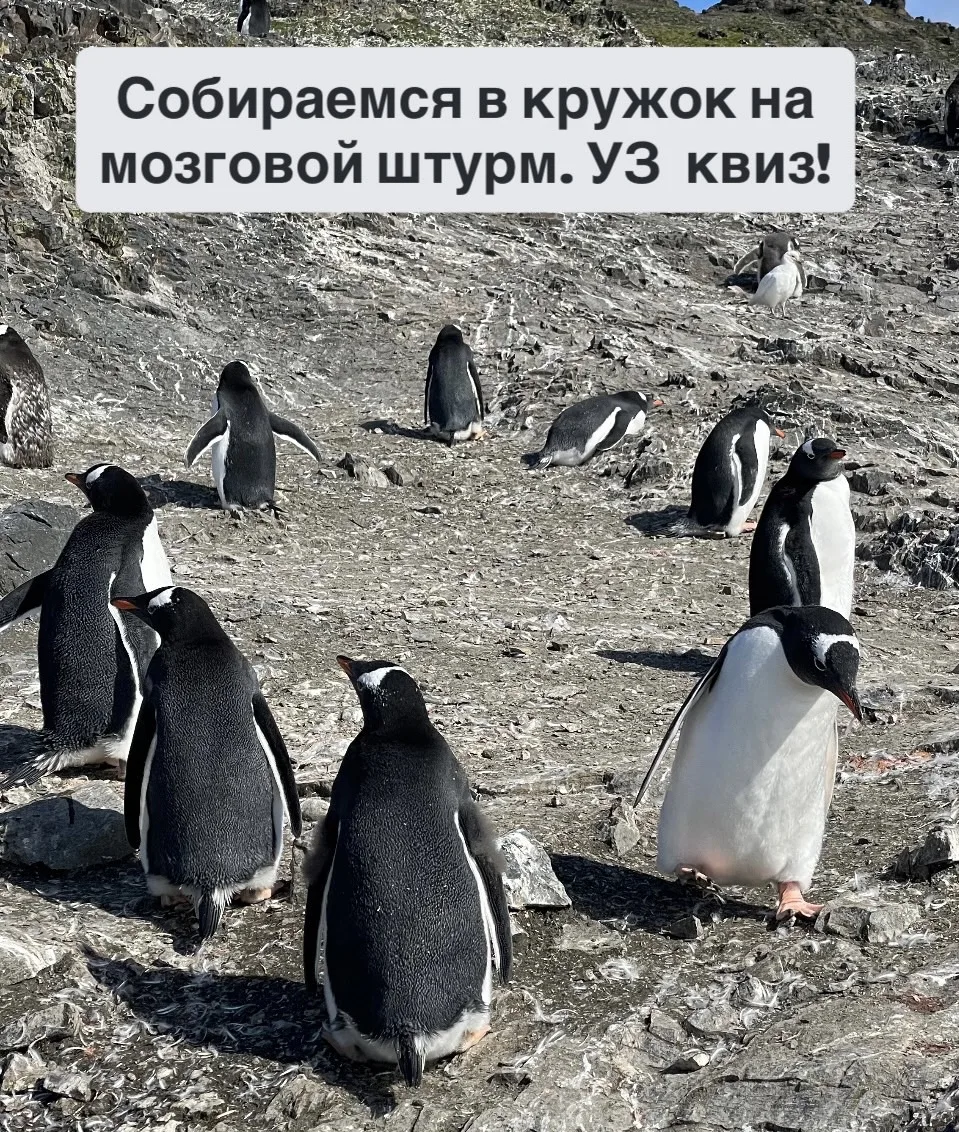 У кого есть випиэн, заходите на УЗ викторину в ТГ

[контакт скрыт]