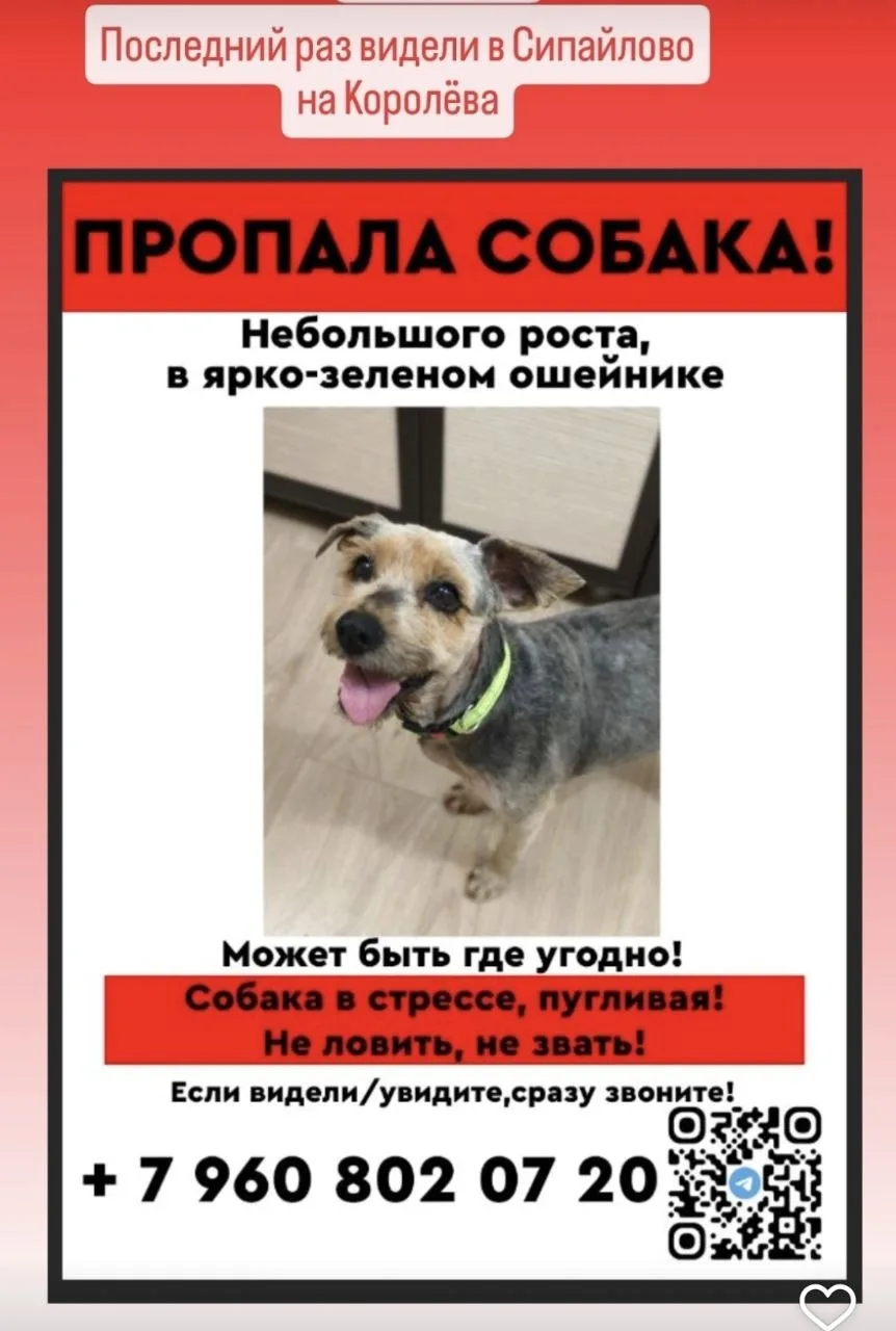 Репост