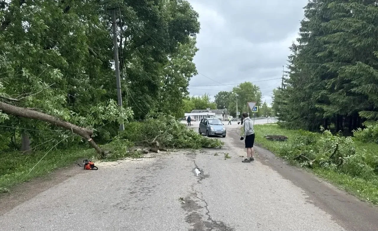 ⚡️ В Палкинском округе из-за усиления ветра жители остались без электроэнергии

В Палкинском муницип
