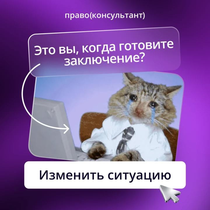 Заключение не должно забирать весь рабочий день.

ПравоКонсультант соберет практику, аргументы, риск