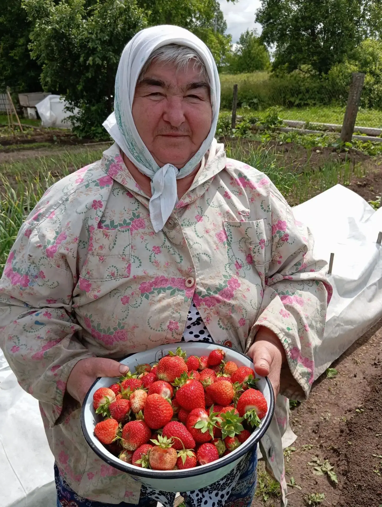 💥Вот и настала пора собирать первый урожай!
Начало лета — это не только время отдыха, но и пора пер