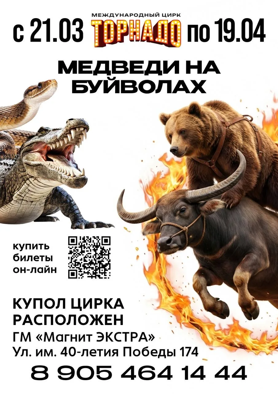 г.Краснодар! 
«Медведи на буйволах» на парковке ГМ «Магнит Экстра» (ул. 40-летия Победы, 174). 
Толь