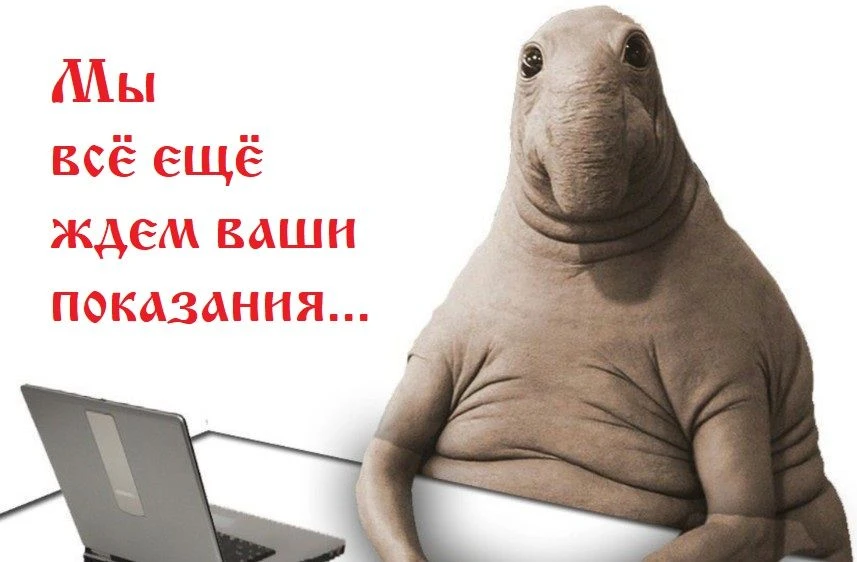🫵 Граждане! Передавайте показания вовремя!
20 число месяца - последний день приема показаний.
👉 На