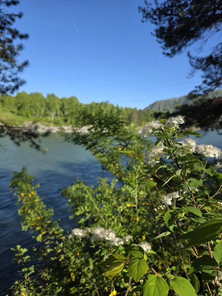 Желаем всем доброго и солнечного утра ☀️ Наконец-то установилась тёплая погода, и поскольку количест