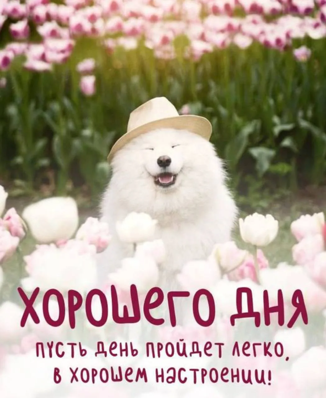 Список качественных каналов в МАКС | Смотреть ❤️