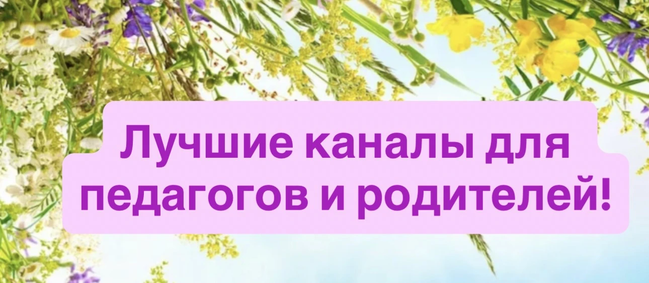 Мы собрали для вас самые полезные и интересные каналы для педагогов и родителей:

🌼 Нейропсихология