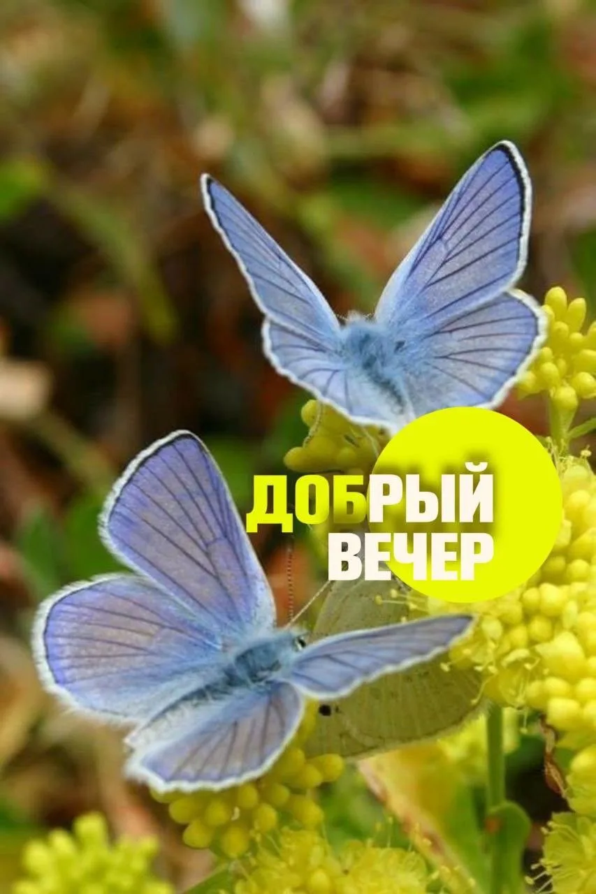 Открыточки с душой✨|👉Подписаться