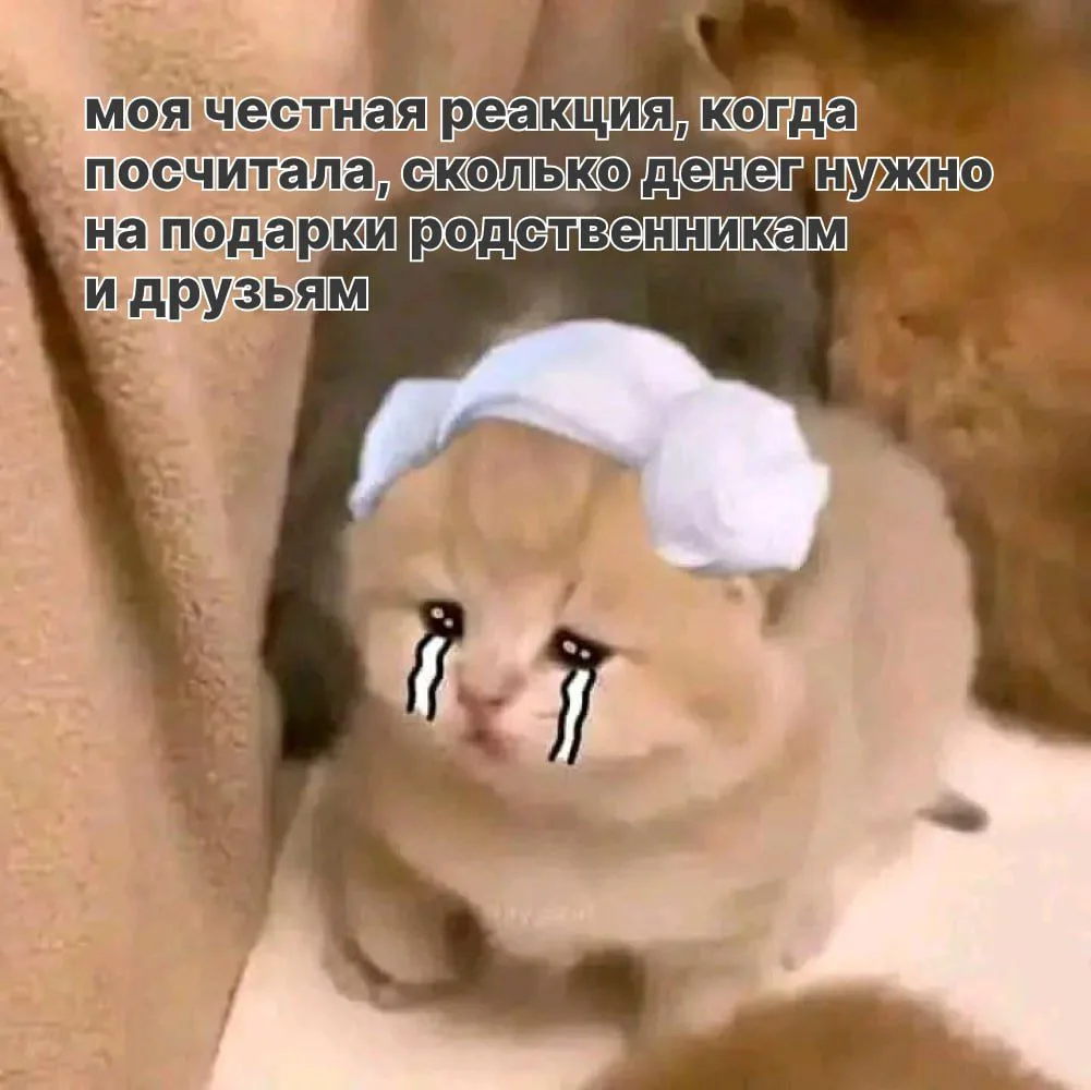 А вы уже всем купили подарки или еще не начинали?

❤️ — всё куплено и уже лежит под ёлкой в ожидании