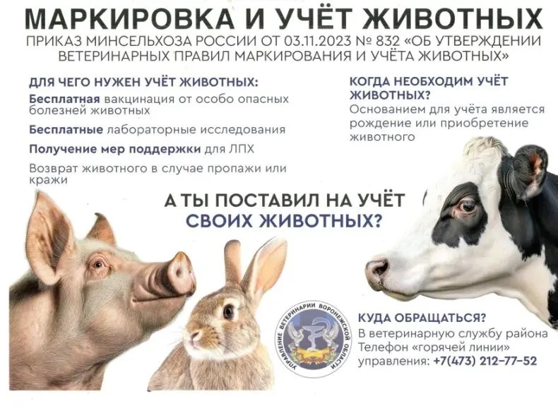 ВАЖНОЕ ОБЪЯВЛЕНИЕ: учёт животных по новым правилам
 
Уважаемые владельцы животных и птицы в Лискинск