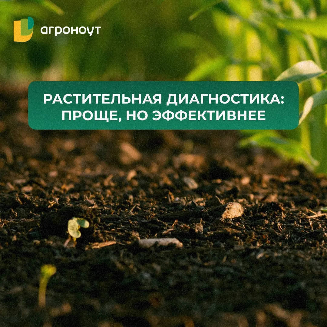 🌾 РАСТИТЕЛЬНАЯ ДИАГНОСТИКА: ПРОЩЕ, НО ЭФФЕКТИВНЕЕ

В мае мы писали о листовой диагностике. Проблема