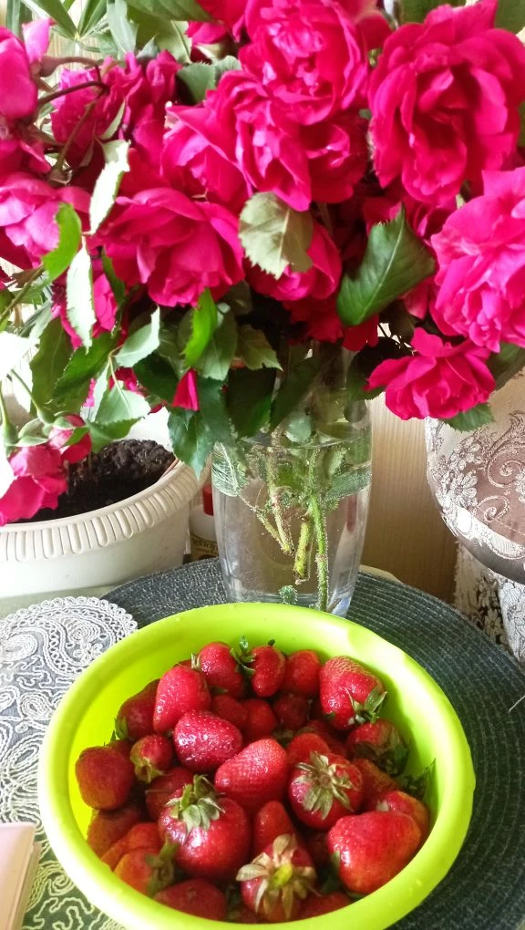 Люблю красные оттенки