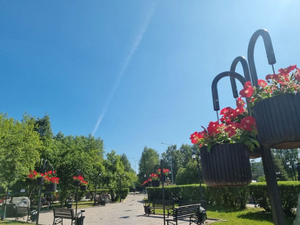 ☀️ С самого утра городские службы заботятся о городе.

🌸 Сотрудники «Горзеленхоза» подготавливают к