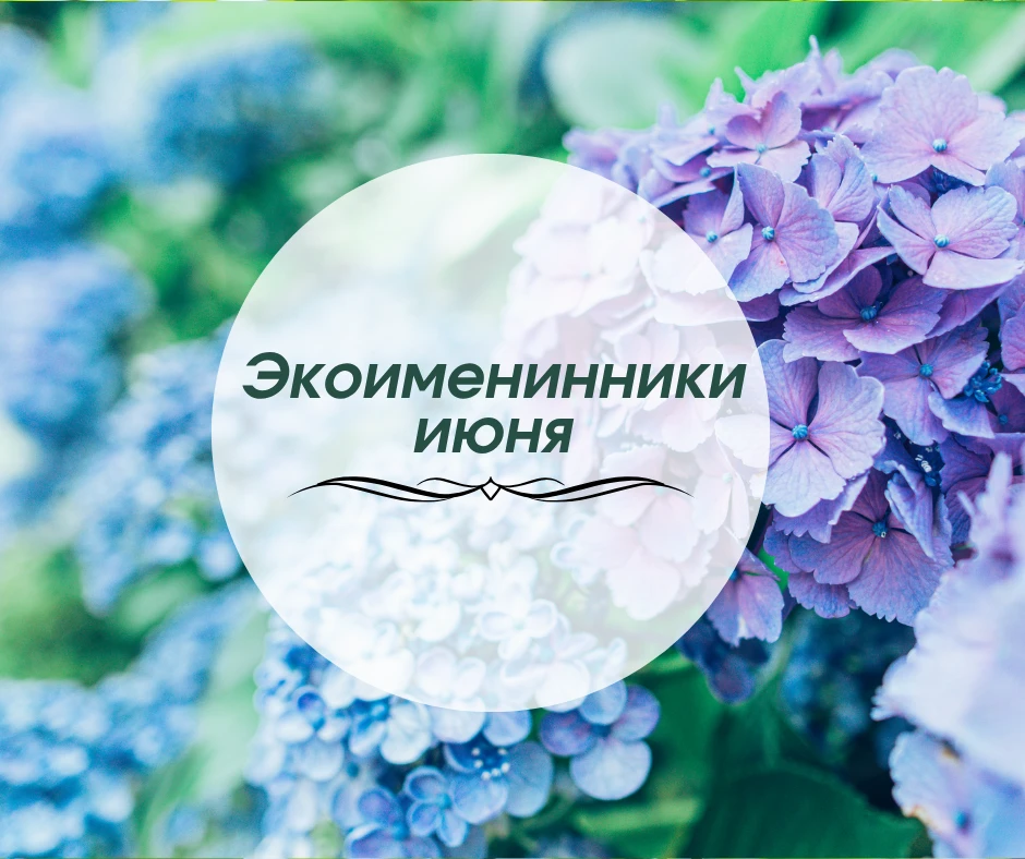 Июнь — месяц длинных световых дней, тёплых встреч и новых поводов для поздравлений

В этом месяце де