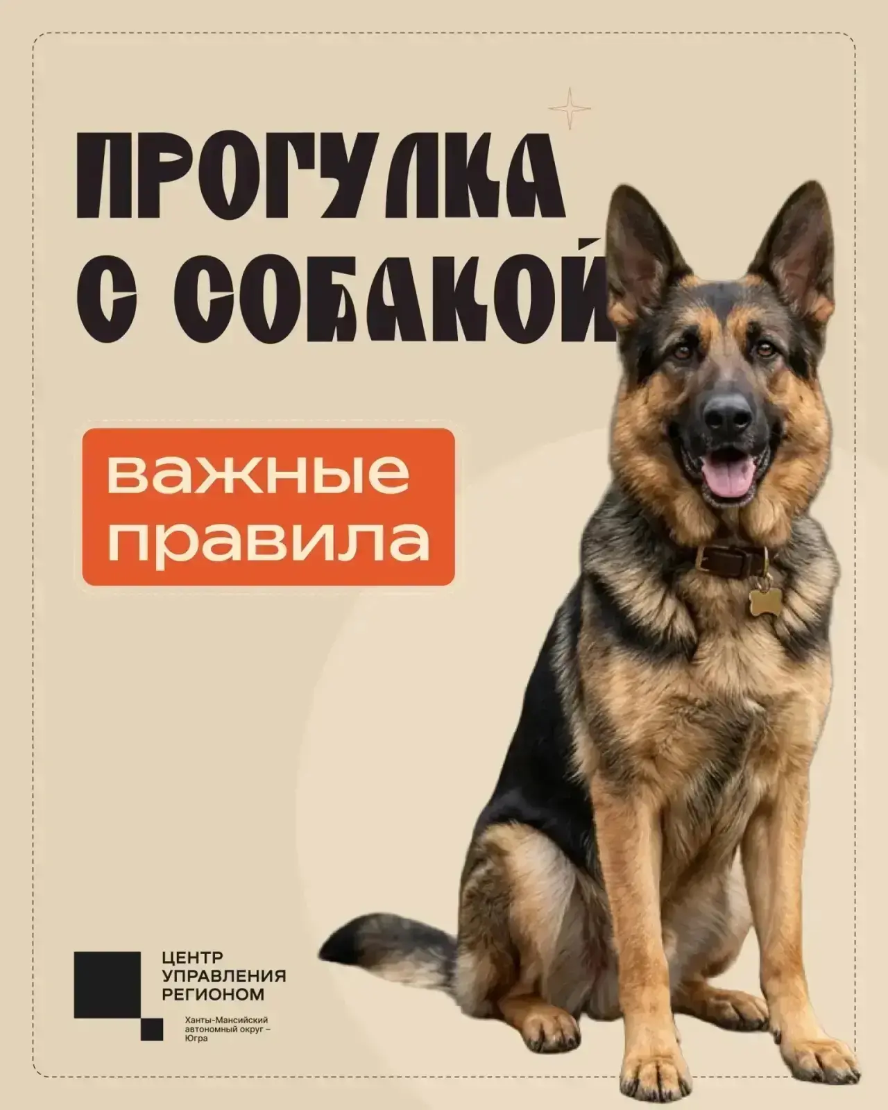 🐕 Правильный выгул собаки – дело непростое

Чтобы прогулки были не только полезными для питомца, но