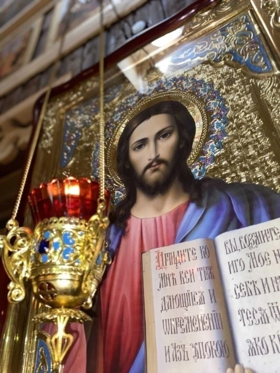 Еще советую: благодари Господа за все в жизни; ибо и доброе, и тяжелое, радость и скорбь посылает Го