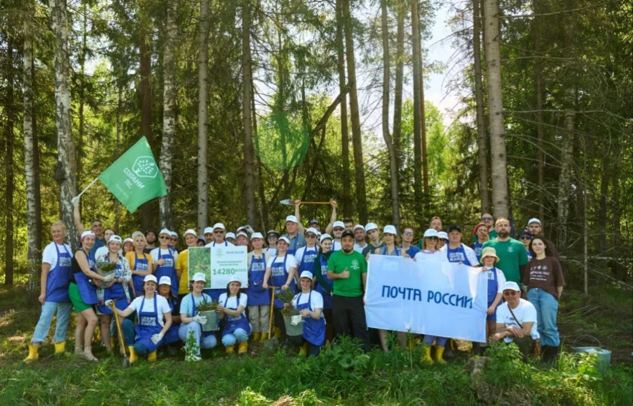 Жители Кировской области могут присоединиться к восстановлению лесов.

С начала 2026 года Почта Росс