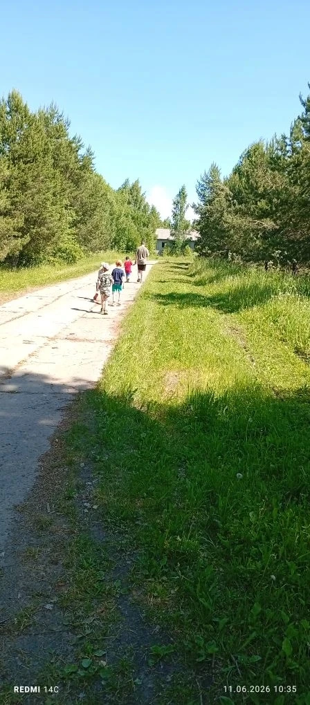 Экскурсия — один из видов занятий по ознакомлению детей с природой. Во время экскурсии можно наблюда