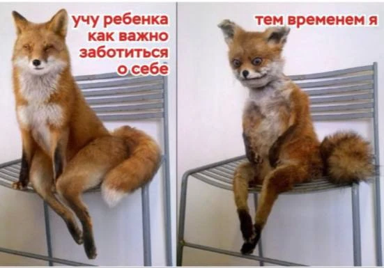 Снова мой любимый мем в тему окончания учебного года и вчерашнего дня защиты детей )