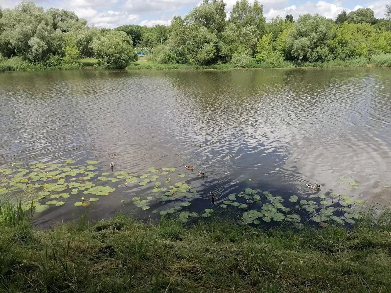 🏛 Делимся красивыми кадрами из усадьбы Люблино

Делимся атмосферными фотографиями одной из самых жи