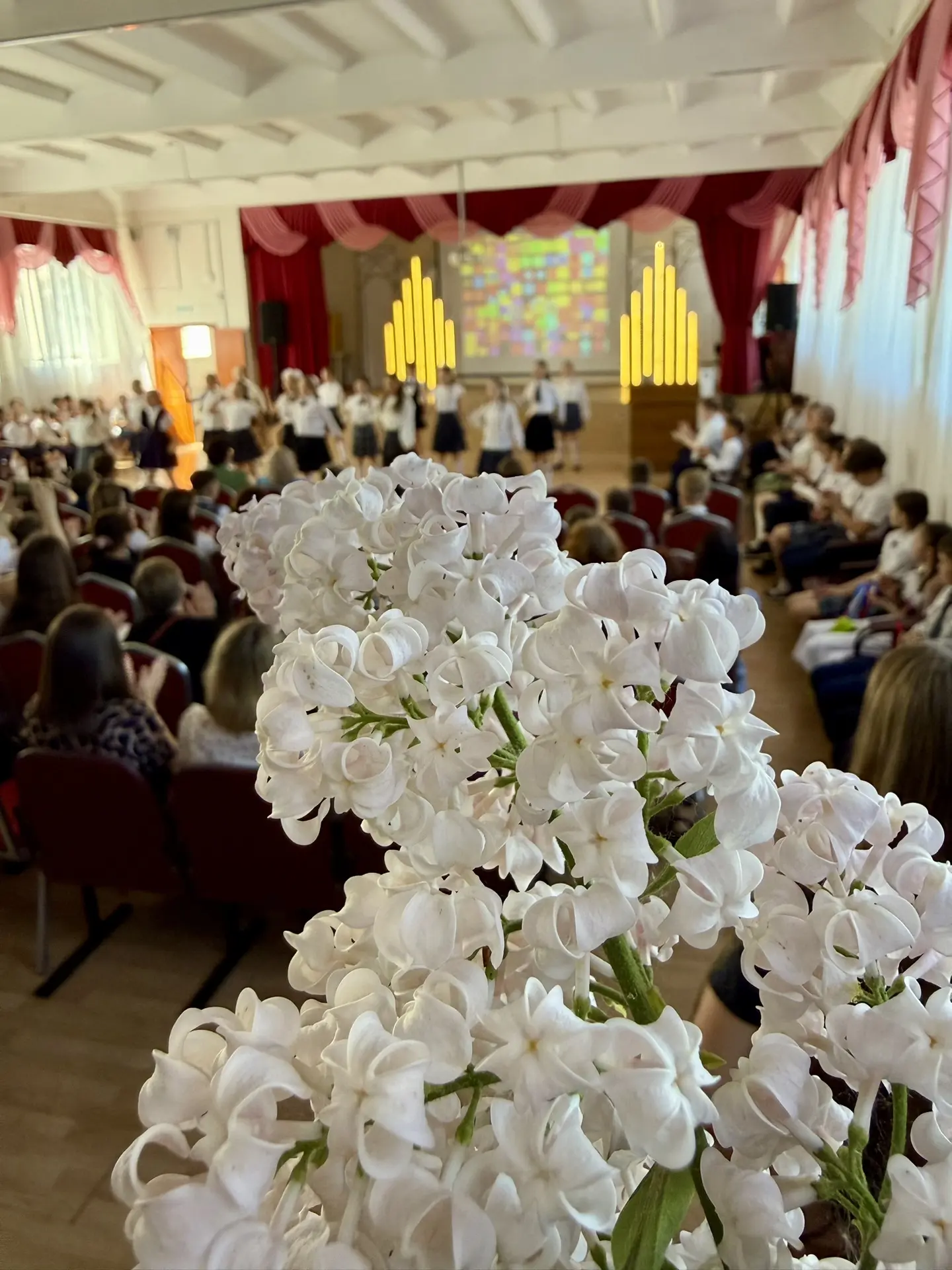 Сегодня для наших 4-х классов прозвенел последний звонок 🎉
Позади — первые уроки, открытия, победы 