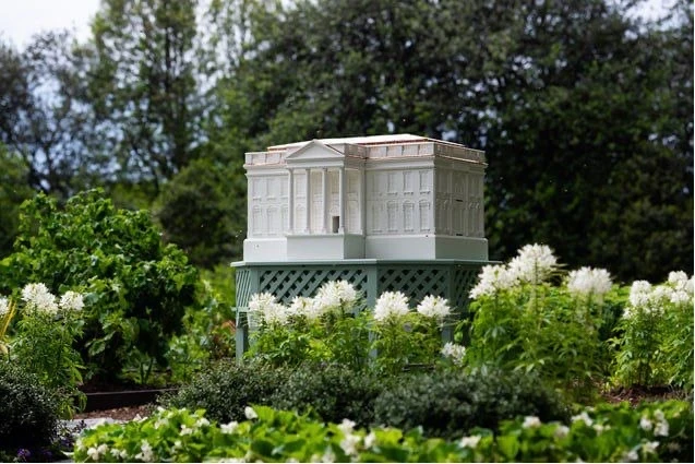 Новости понедельника:
«Мелания Трамп установила пчелиный улей, который выполнен в виде Белого дома н