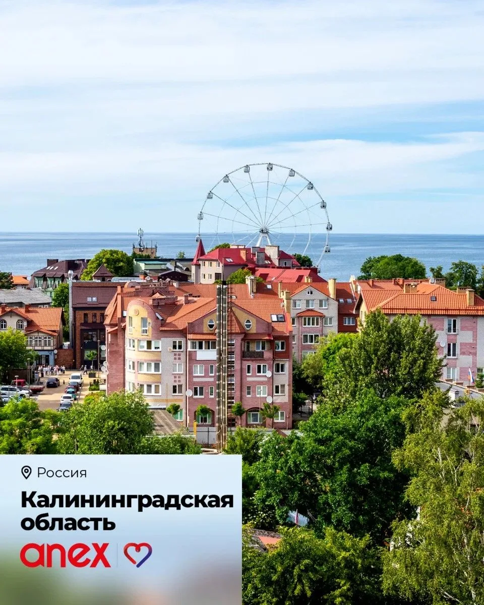 В День России вспомним о Балтийском море 🌊

Ведь Калининград — это не только архитектура и музеи. Л