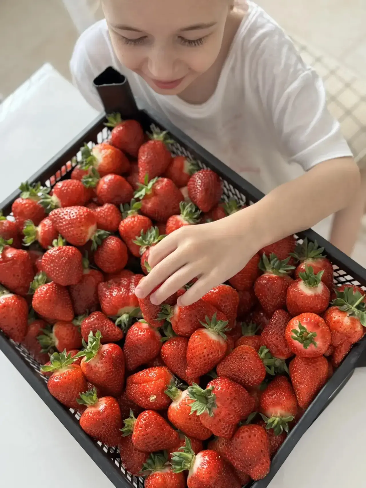 Лето - время фруктов и овощей! Сезонные вкусности полны витаминами и радуют нас вкусом и ароматом! Г