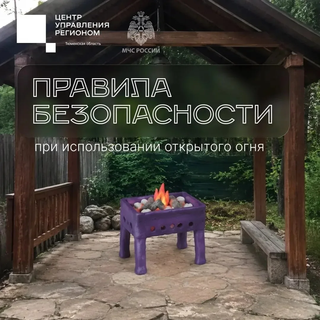 ❗️В Тюменской области действует особый противопожарный режим, в рамках которого запрещено:

🔹 посещ