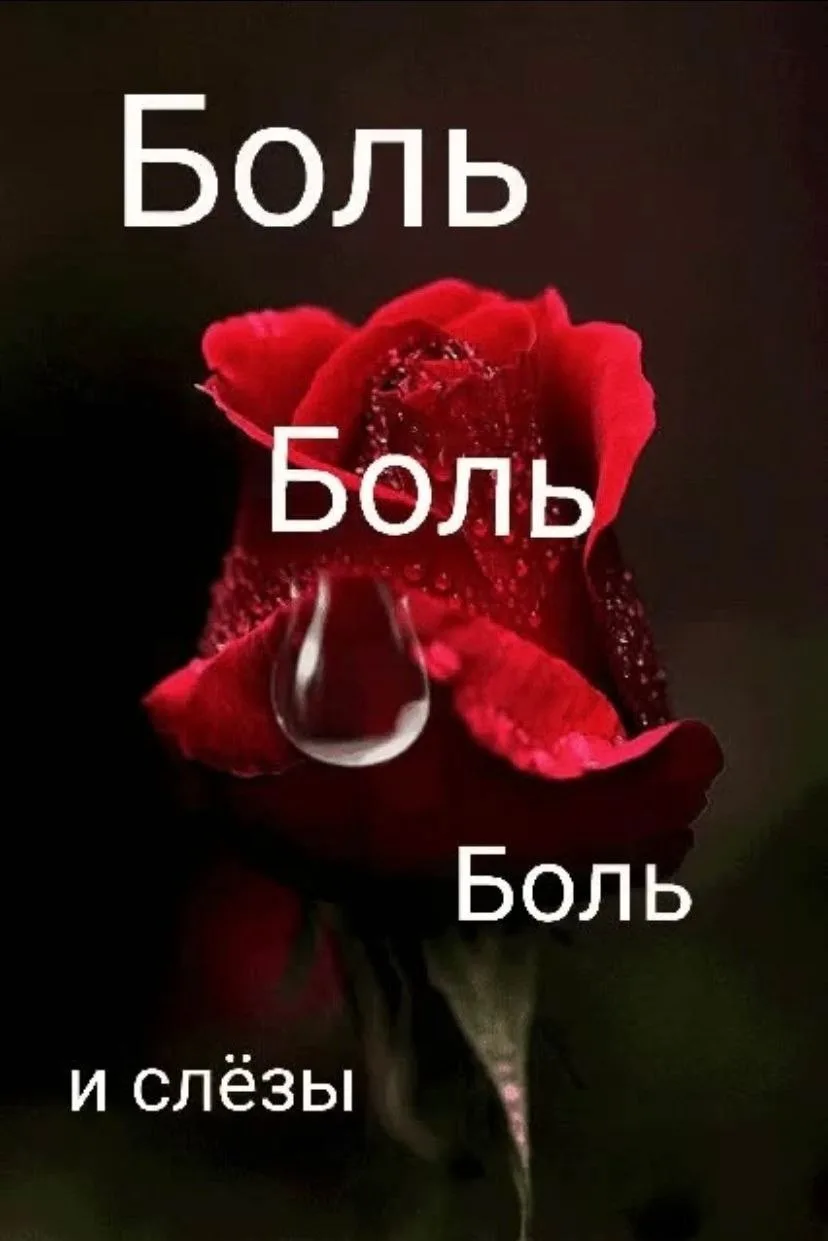 Я буду ждать тебя, сынок,
И дни , и ночи, через годы…
Не выйдет ожидания срок.
И пусть меняется прир
