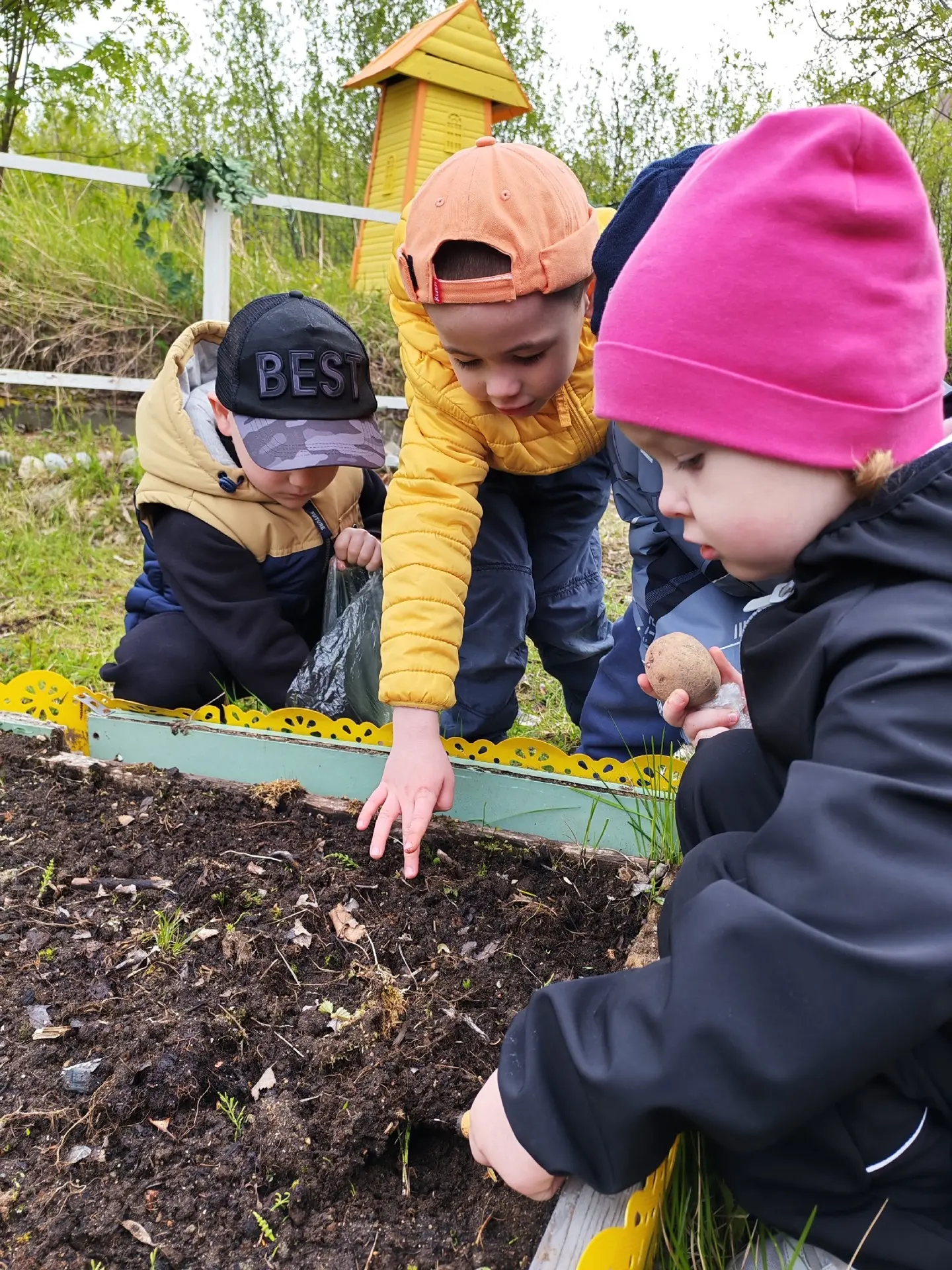 🌱 Наш совместный огород: как мы учим детей любить природу!

Создание огорода вместе с детьми, родит