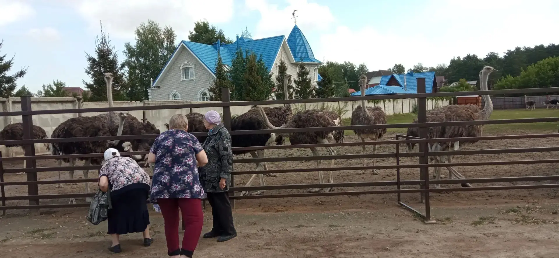 Сегодня у нас был не просто день, а настоящее приключение! Жители Барнаульского дома-интерната отпра