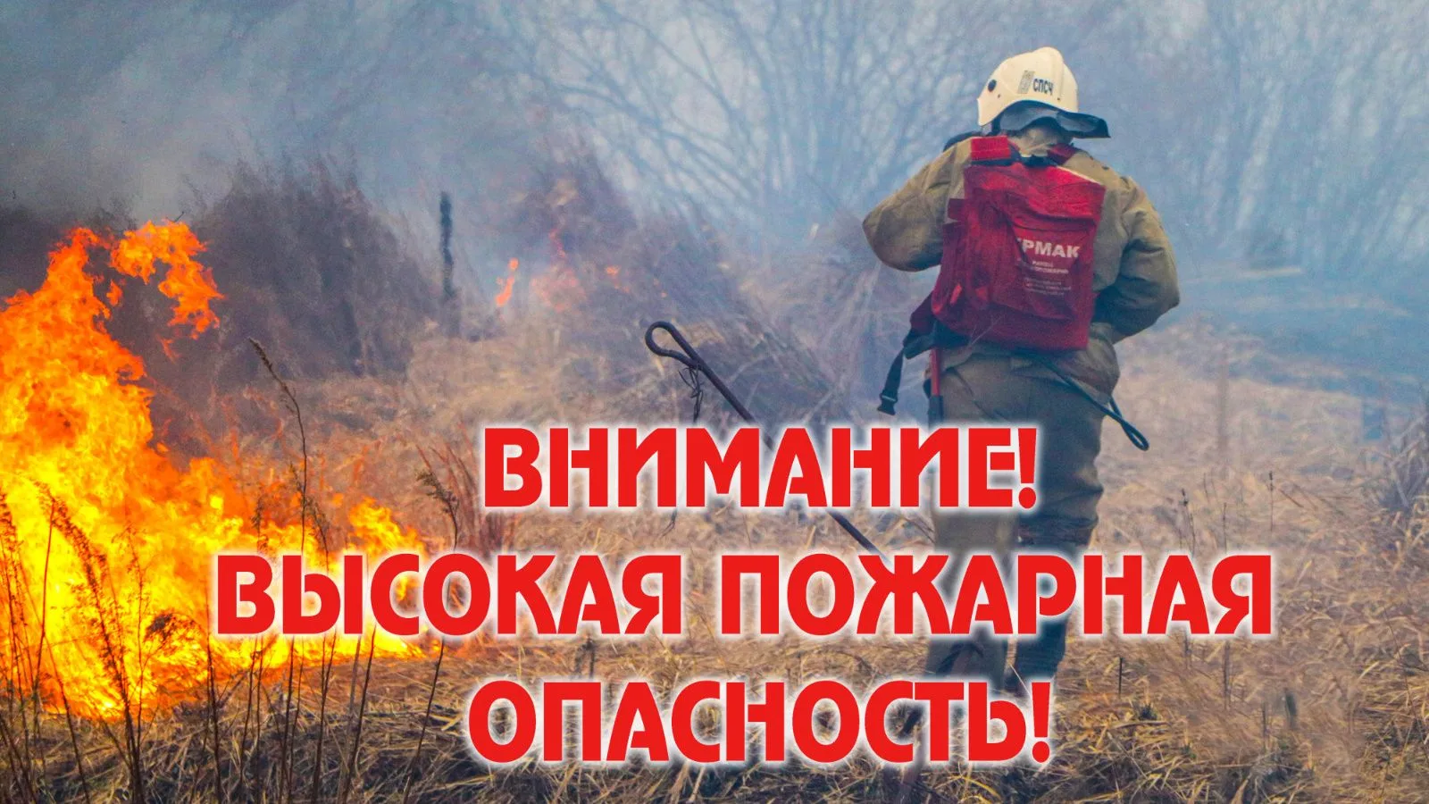 Прогноз пожарной опасности лесов на территории Республики Татарстан
10 июня 2026 г. на территории Ре
