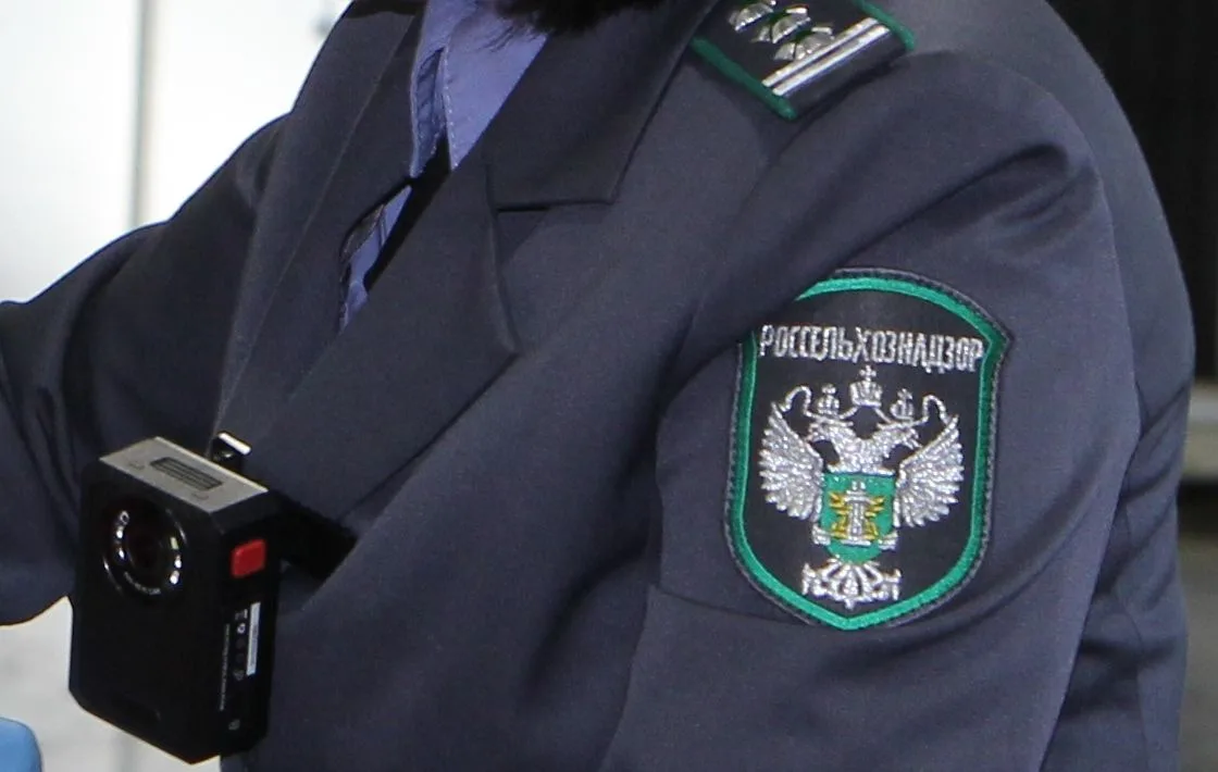 ⚡️В Красноярске на рынке изъято и уничтожено  более 28 кг небезопасного мяса и субпродуктов без вете