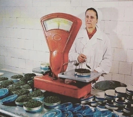 Расфасовка черной икры. Баку, 1979 год



👉 👈