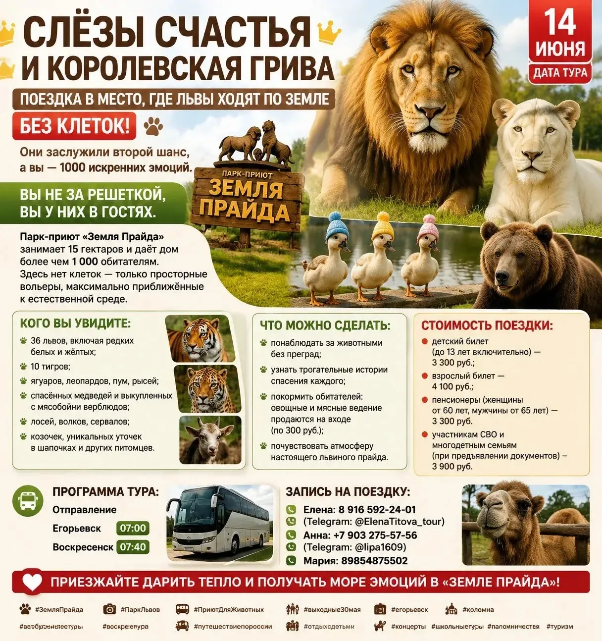 ‼️Свободно 7 мест, кто с нами еще поедет?!
🦁 СЛЁЗЫ СЧАСТЬЯ И КОРОЛЕВСКАЯ ГРИВА: Поездка в место, гд