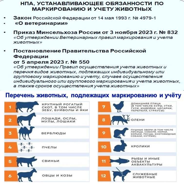С 1 марта 2024 года в России введена обязательная маркировка и государственный учёт сельскохозяйстве