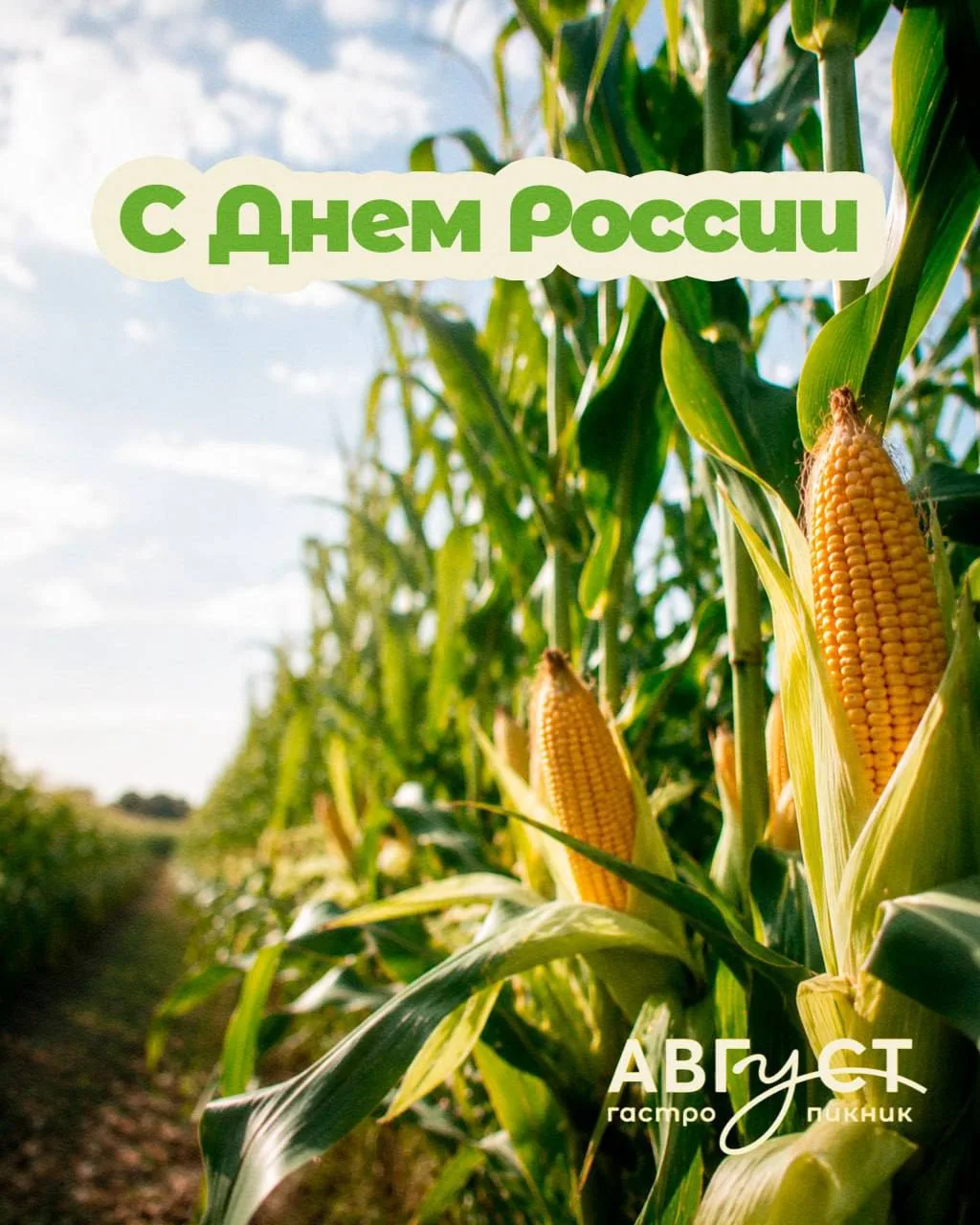 С Днём России! 🇷🇺

Без громких речей и официальных тостов.

Просто скажем: мы любим эту страну. За