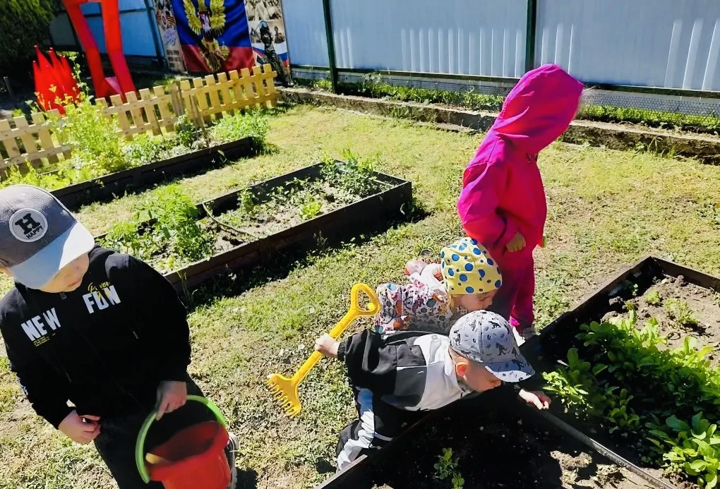 🌱 Маленькие помощники в огороде: труд с радостью и пользой! 🌱

Наши дошколята с удовольствием труд