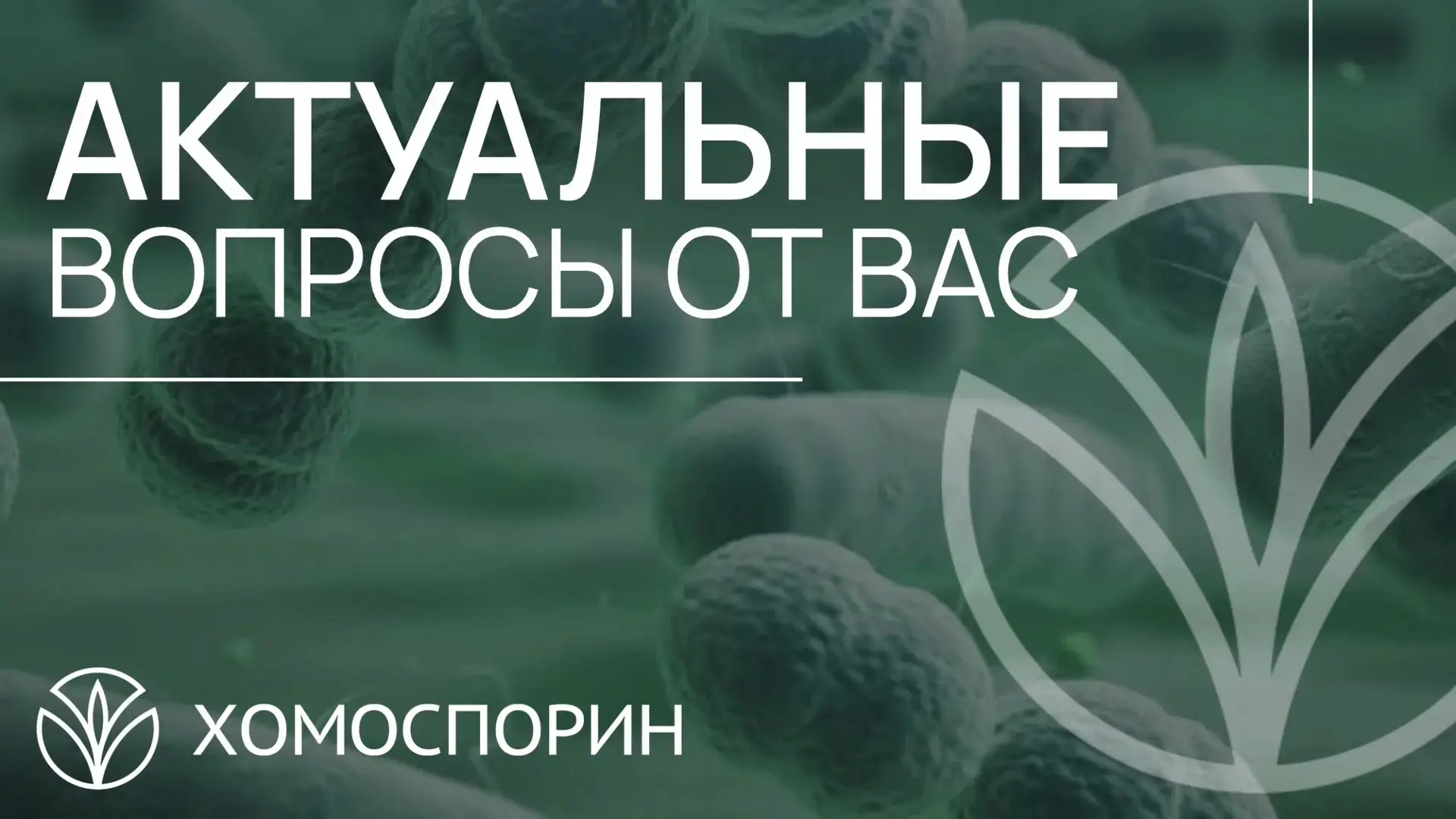 ❓Вопрос по этапам применения серии Хомоспорина: почему в рекомендации сначала Лакто, потом Бифидум? 