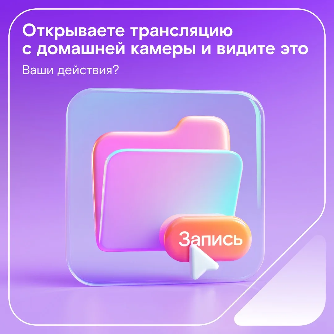 С поворотной камерой дом (и его самые смешные жильцы) всегда под присмотром 📷