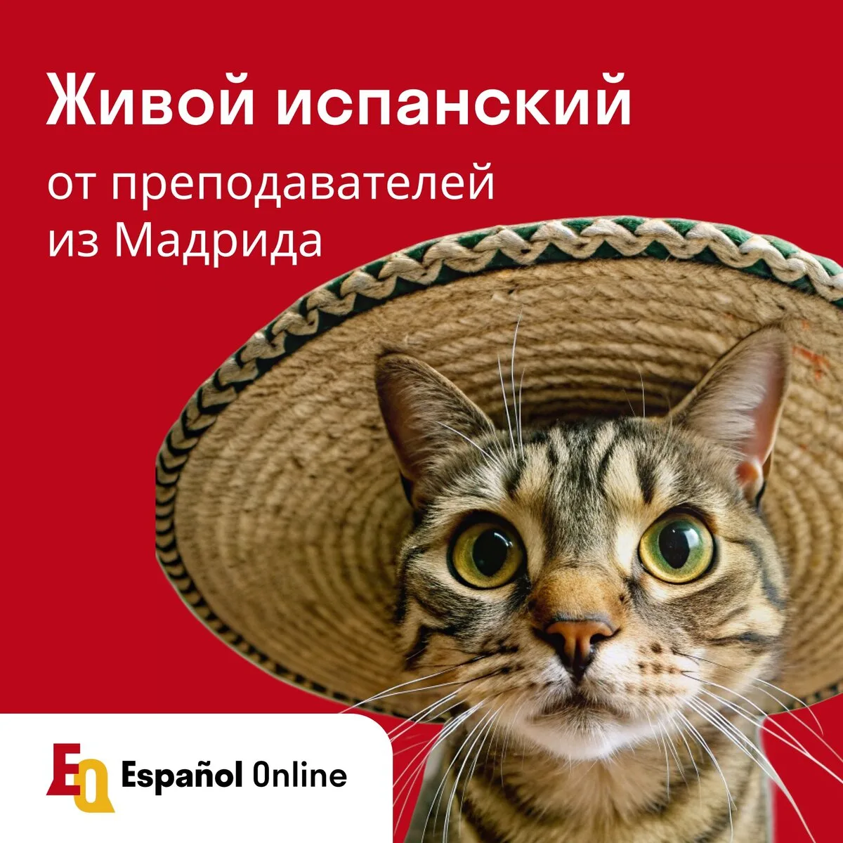 Курсы испанского языка

Онлайн-школа Español Online приглашает на индивидуальные занятия с репетитор