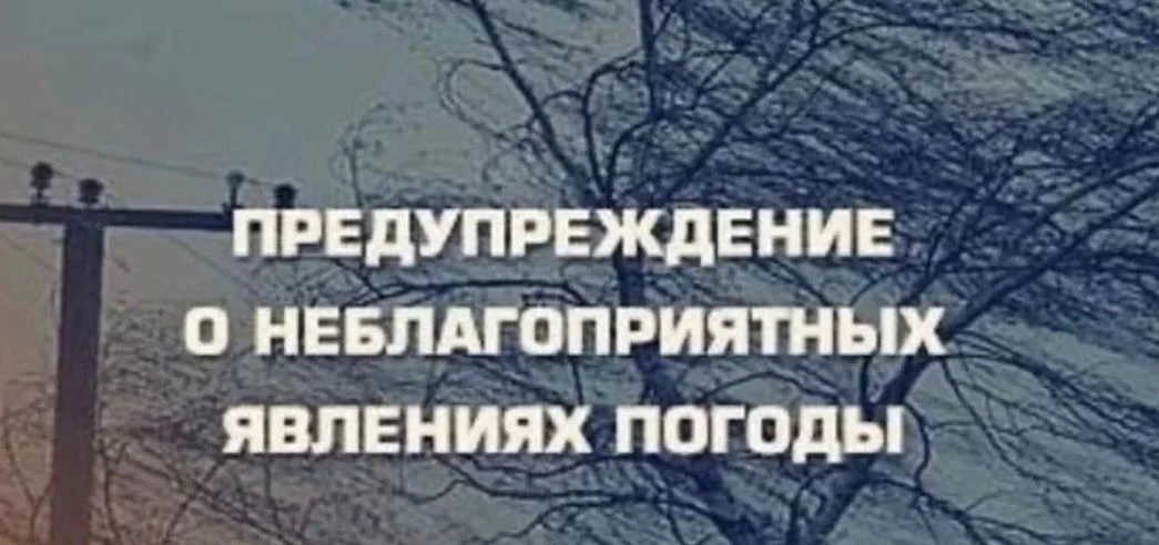 По данным ФГБУ «Западно - Сибирское УГМС» сутки 11 февраля, ночь 12 февраля 2026 года в Новосибирско