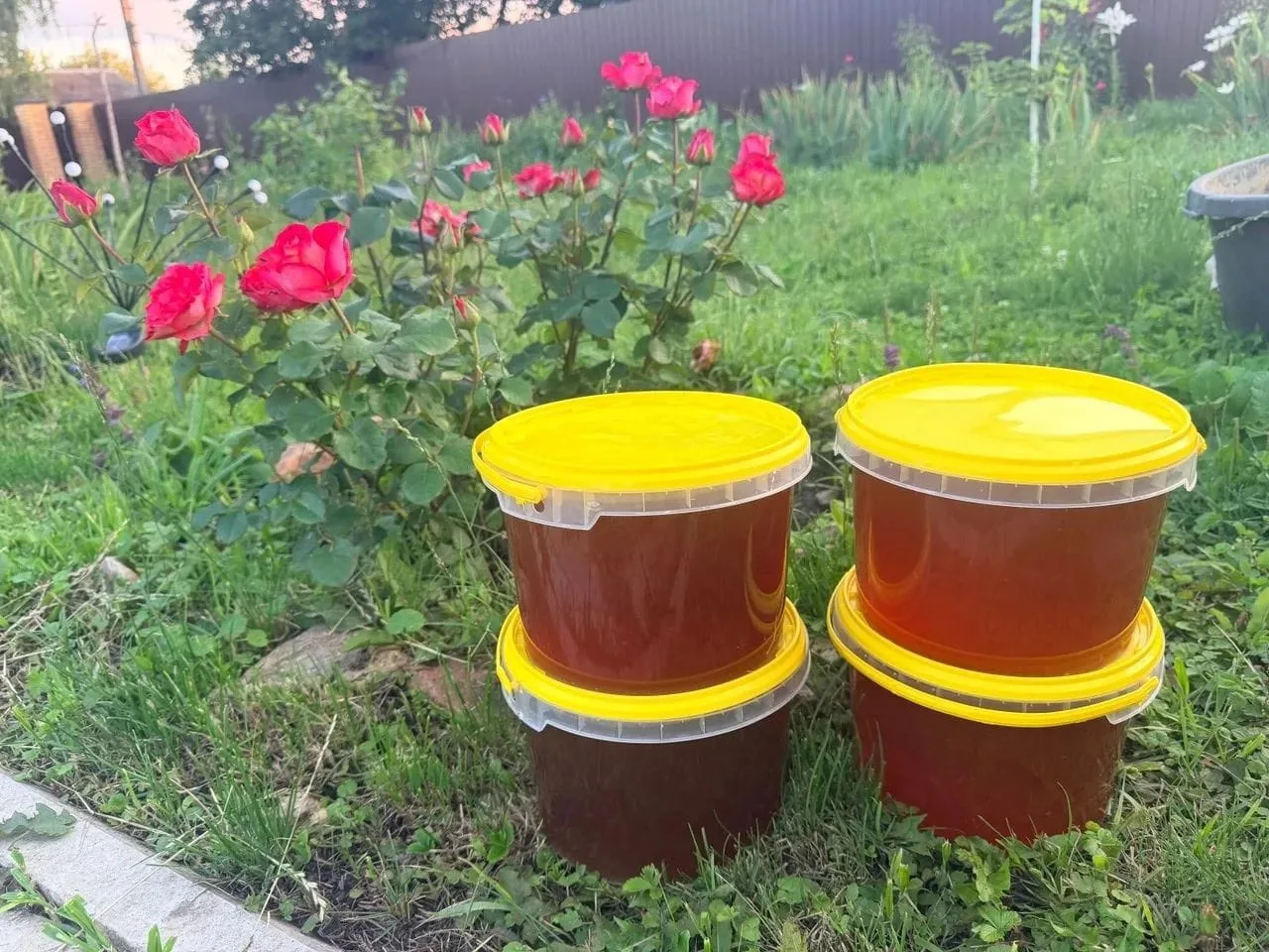 Мёд🍯 с частной пасеки которая находится в Тамбовском заповеднике Инжавинского р-она,экологический ч